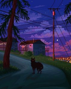 two dogs are walking down the street at night in front of some power lines and telephone poles