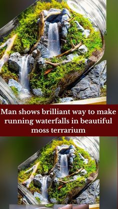 two pictures with moss growing on them and the words man shows brilliant way to make running waterfalls in beautiful moss terrarium