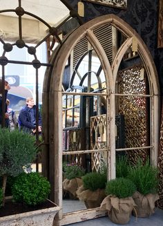 an arched window with potted plants in front of it and people looking at it