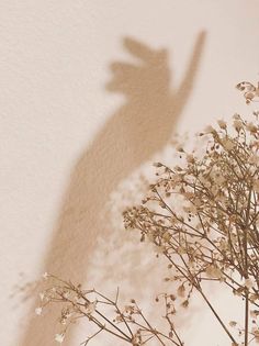 the shadow of a person's hand on a wall next to a flower vase