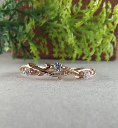 a close up of a ring on a table next to a plant and potted plant