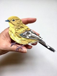 a hand holding a small yellow bird on it's finger, with white background