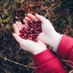 a person holding out their hands with berries in it's palm on the ground