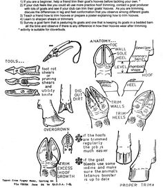 an instruction manual for sewing shoes