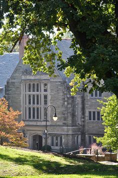 an old stone building with trees in the foreground and green grass on the ground