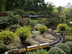 a yellow train traveling through a lush green forest next to a small bridge on top of a hill