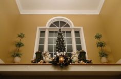 a decorated christmas tree in front of a window with potted plants on the ledge