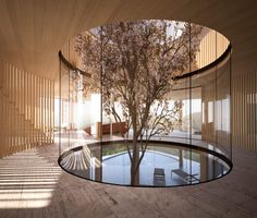 a circular glass table with a tree in the center surrounded by wooden slatted walls