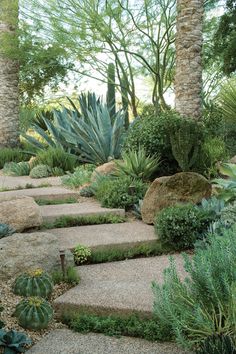 an outdoor garden with rocks and plants