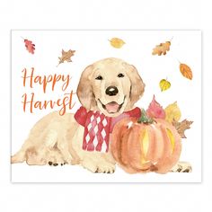 "Buy the Happy Harvest Dog Tabletop Canvas at Michaels. com. Add the perfect cozy touch to your home this fall with this harvest-inspired wall art. Designed and printed in the United States on quality canvas, this is a design you're sure to love. Add the perfect cozy touch to your home this fall with this harvest-inspired wall art. Designed and printed in the United States on quality canvas, this is a design you're sure to love. Canvas Wall Art accentuates the look of your interior décor, lookin Happy Harvest, Autumn Activities For Kids, Fall Wall Decor, Mirror Sign, Love Canvas, Fall Watercolor, Michael Store, Wood Home Decor, Fall Kids