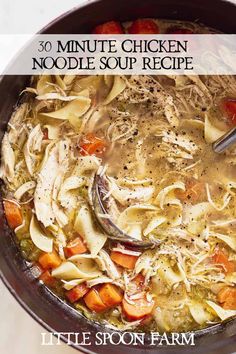 a bowl of chicken noodle soup with a spoon in it and the title overlay reads 30 minute chicken noodle soup recipe