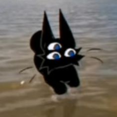 a black cat with big blue eyes is in the water and looks like it's coming out of the water