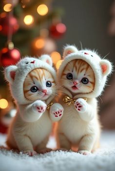 two small kittens dressed up like cats in front of a christmas tree