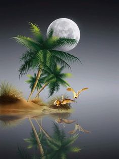 two birds are flying in front of the moon and palm trees, while another bird is standing on an island