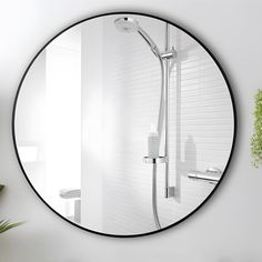 a round mirror hanging on the wall next to a potted plant and toilet paper dispenser