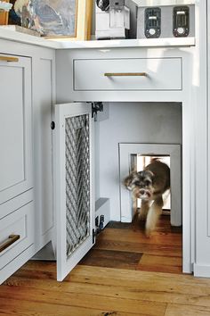 a dog is coming out of its kennel in the kitchen