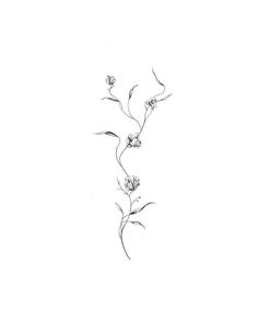 Minimal Half Sleeve Tattoo, Simple Line Back Tattoo, Detach Tattoo, Spine Tattoo Vine, Flowers Line Tattoo, Wispy Flower Tattoo, Red Vine Tattoo, Water Tatoos, Water Inspired Tattoo