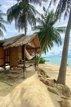 a hut on the beach with hammocks hanging from it's roof and palm trees