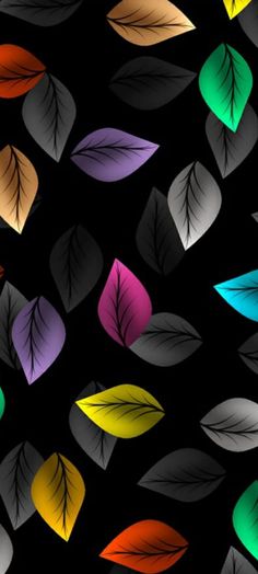 multicolored leaves on black background