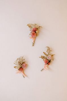 three flowers are arranged in the shape of an antelope on a white wall