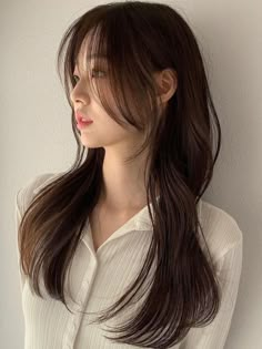 dark ash brown layered long hair Brown Hair Color Styles, Warm Chocolate Brown Hair, Asian Brown Hair, Brown Hair Korean, Natural Hair Color Ideas, Hair Color Styles, Warm Brown Hair, Hair Color Asian, Ash Brown Hair Color