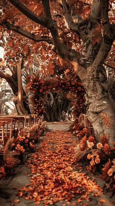 a pathway lined with chairs and trees covered in fall colored leaves, surrounded by foliage