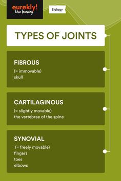 the different types of jointions in an english language infographical poster with text