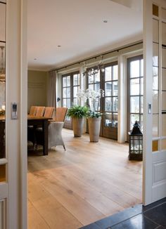 a living room filled with furniture and lots of windows next to a wooden floor covered in potted plants