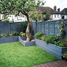 a small backyard garden with grass, trees and plants in planters on either side of the fence