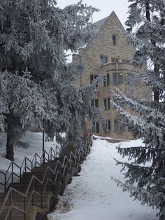 snow covered trees and stairs in front of a large stone building on a snowy day