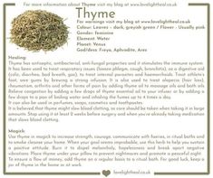 the ingredients for thyme tea are shown in this page, which contains information on how to use it