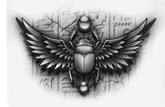 a black and white drawing of an insect with wings on it's back side