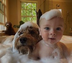 there is a baby and a dog in the bathtub with foam on it's head