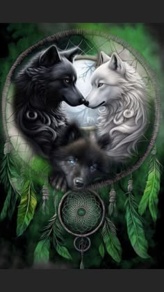 two black and white wolfs in a dream catcher with green leaves on the side