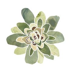 a watercolor painting of a succulent flower with green leaves and brown spots