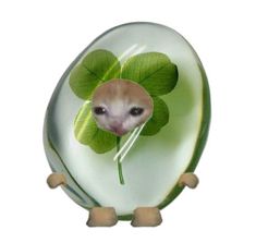 an animal with four leaf clovers on it's face in a glass egg