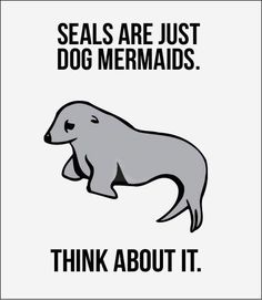 an elephant with the caption seal are just dog mermaids think about it,