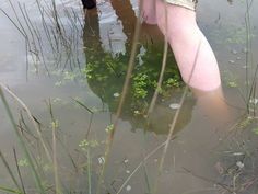 two people are standing in the water with their feet in the water