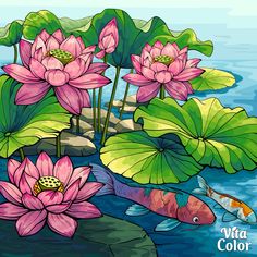 a pond with water lilies and two koi fish