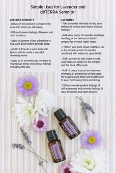 Lavender & Serenity Lavender Essential Oil Uses, Doterra Serenity, Terra Essential Oils, Doterra Lavender, Essential Oils For Pain, Ginger Essential Oil, Diffuser Recipes