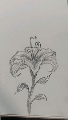 Landscape Art Pencil Sketch, Flowers Sketch Easy, Pretty Sketches Aesthetic, Aphrodite Drawing Sketch, East Sketches, Drawing Sketches Flowers, Sketchbook Ideas Flowers, Flower Pencil Sketches, Flower Sketches Easy