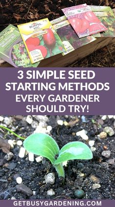 three seed starting method for every gardener should try