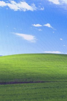 a man riding a skateboard on top of a lush green hillside under a blue sky