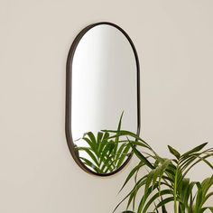 a mirror hanging on the wall next to a potted plant