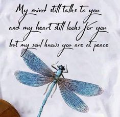 a blue dragonfly sitting on top of a white t - shirt that says, my mind still talks to you and my heart still looks for you but my soul knows you are at peace