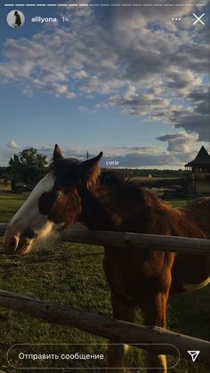 a horse is standing in the grass behind a fence and looking over it's head