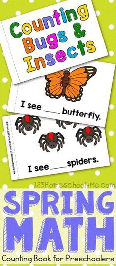 counting bugs and insects i see, butterfly, spider book for preschcers