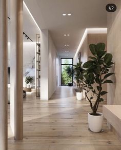 a long hallway with potted plants on the side and wooden flooring in between