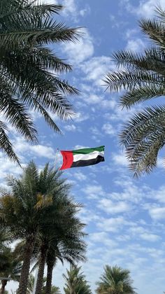 a flag flying in the air between two palm trees