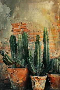 three potted cacti in front of a brick wall with peeling paint on it